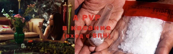 тгк Балахна